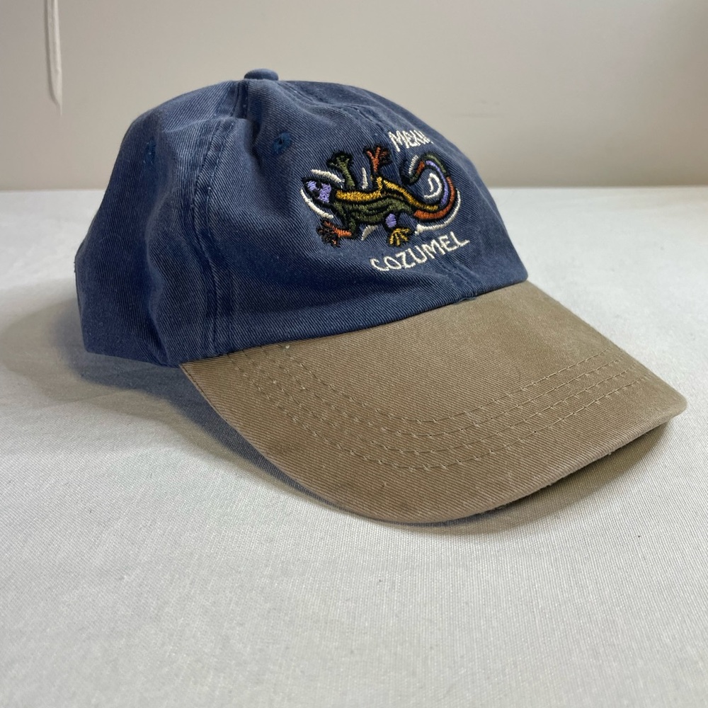 Cozumel Mexico Hat DKPS Washed Gray Rainbow Gecko Lizard Adjustabe Vtg Dad Cap